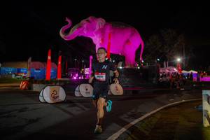 BIB: 
                            <button type="button" onclick="openModal(26552110)" class="btn btn-primary btn-sm float-right btn-popup" data-toggle="modal" data-target=".modal-high-quality">
                        <i class="fas fa-shopping-cart"></i> Add to Cart
                    </button>
                                            <button type="button" onclick="isThisMe(26552110, true)" class="btn btn-success btn-sm float-right btn-popup btn-isme hidden" data-toggle="tooltip" data-placement="bottom" title="นี่คือรูปของคุณใช่ไหม คลิกที่นี่เพื่อเอาเข้าอัลบั้ม">
                        <i class="fas fa-plus"></i> Add to album
                    </button>
                    <button type="button" onclick="isThisMe(26552110, false)" class="btn btn-warning btn-sm float-right btn-popup btn-isnotme hidden">
                        <i class="fas fa-ban"></i> Remove from album
                    </button>